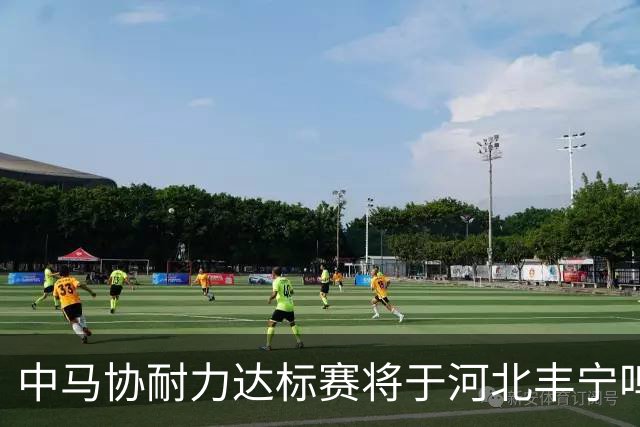 中马协耐力达标赛将于河北丰宁鸣枪 数十家专业马术俱乐部角逐