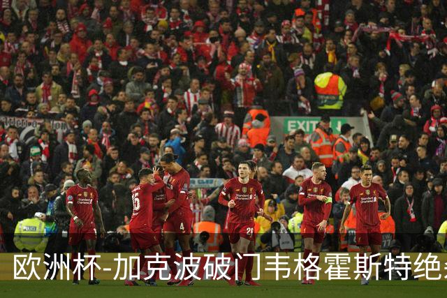 欧洲杯-加克波破门韦格霍斯特绝杀 荷兰2-1波兰